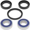 ISO 89318 Linear bearing